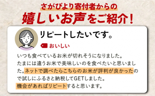 〈受付一時停止中〉【数量限定】【6回定期便】【令和5年産】さがびより 計60kg（5kg×2袋×6回） 吉野ヶ里町/増田米穀  [FBM034]