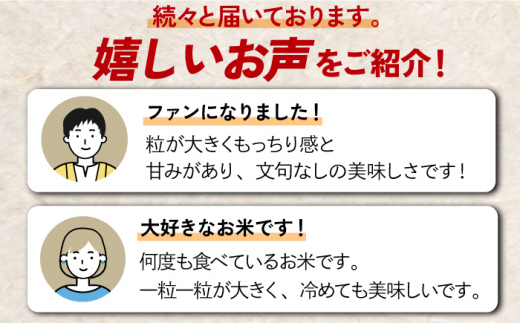 〈受付一時停止中〉【数量限定】【6回定期便】【令和5年産】さがびより 計60kg（5kg×2袋×6回） 吉野ヶ里町/増田米穀  [FBM034]