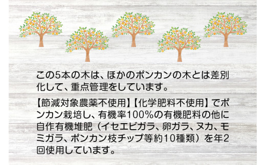 【先行予約】プレミア和歌山認定！ ポンカン姫 5kg 【2025年1月上旬～2025年2月上旬発送予定】 数量限定の極上ポンカン 柑橘類 ぽんかん フルーツ 果実 みかん ミカン オレンジ 旬 限定【sse103】