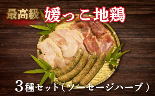 数量限定 最高級 ブランド 地鶏 媛っこ地鶏 セット3種 ソーセージ ハーブ 鶏肉 鶏むね 鶏もも こだわり 小分け