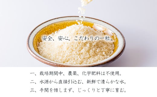 【数量限定】新米 令和6年産 農薬・化学肥料不使用 「陽の光穂（ひのひかり）」3kg(1kg×3p) 白米 国産 宮崎県産 高原町産 真空袋 使い切りごはん ご飯 産地直送 無農薬 湧水 手作業 少量生産 安全 安心 自然 天然　送料無料 故郷納税 10000円 1万円 　 TF0803-P00075