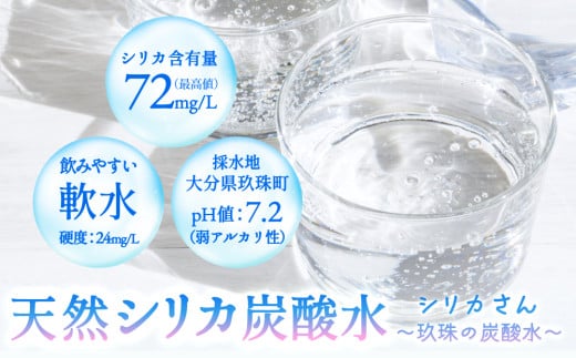 [３ヶ月 定期便]天然シリカ炭酸水 シリカさん～玖珠の炭酸水～　500ml × 40本