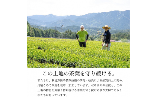 高級煎茶飲み比べ 茶蔵園セット 神賜 清流 お茶 白川茶 美濃白川茶 日本茶 緑茶 煎茶 春摘み一番茶 高級 12000円