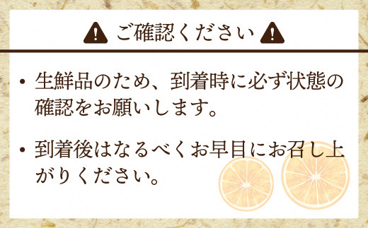 【2024年9月中旬より順次発送】JAむなかたブランドみかん【姫の神】（早味かん）約3kg[F2280]