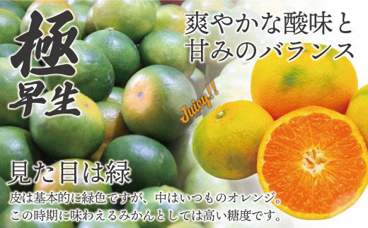 【2024年9月中旬より順次発送】JAむなかたブランドみかん【姫の神】（早味かん）約3kg[F2280]