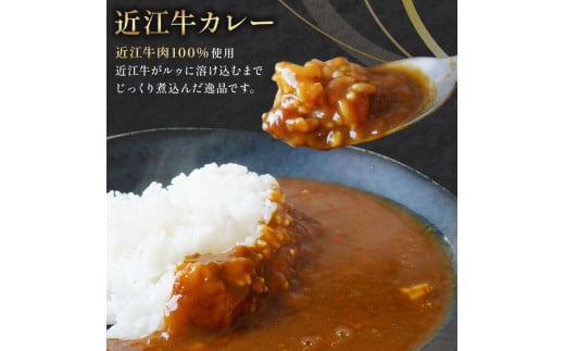 近江牛 カレー 160g×15袋セット 【 レトルト カレー 近江牛 カレー 黒毛和牛 牛肉 2400g 肉 ギフト 自宅用 高級 黒毛和牛 国産 ごはんのお供 ふるさと納税 10000円 ブランド牛 三大和牛 和牛 贈り物 内祝い 神戸牛 松阪牛 に並ぶ 日本三大和牛 滋賀県 竜王町 澤井牧場 送料無料 】