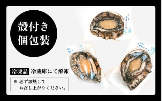 日本海若狭湾の天然黒アワビ 約500g（2～5個） 入手困難 あわび アワビ 鮑 クロアワビ 黒あわび 冷凍・加熱用[m17-b001]