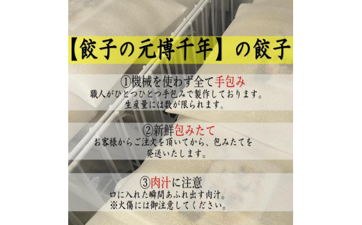 餃子の元博千年の肉汁餃子４０個入り