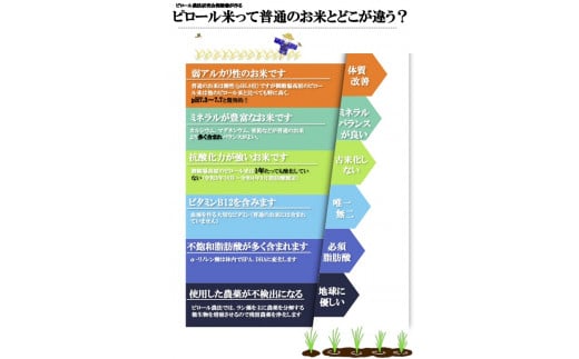 ピロール米　御殿場こしひかり　2kg
※着日指定不可