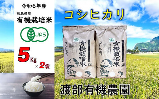 コシヒカリ　5kg×2袋　有機米【11月から順次発送】