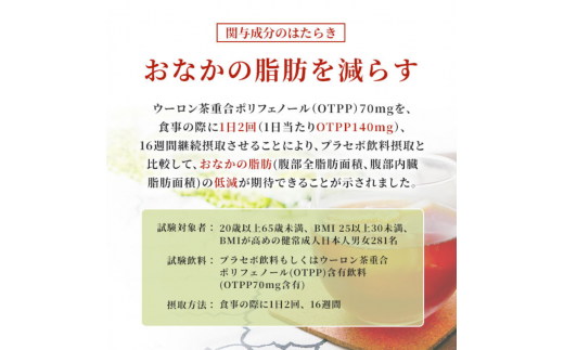 定期便 3ヶ月 サントリー烏龍茶OTPP（機能性表示食品）2L×6本 2箱 ペットボトル