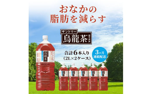 定期便 3ヶ月 サントリー烏龍茶OTPP（機能性表示食品）2L×6本 2箱 ペットボトル