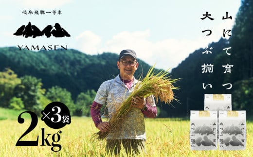 【令和6年産米】すがたらいす 山仙 (いのちの壱)  2kg×3袋（6kg）すがたらいす 6キロ 下呂市金山産 2024年産 お米 精米 米 いのちのいち やません