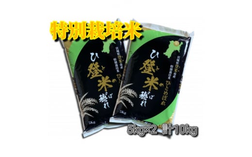 ＜令和6年産＞宮城県登米市産　特別栽培米ひとめぼれ10kg(5kg×2)【1397558】