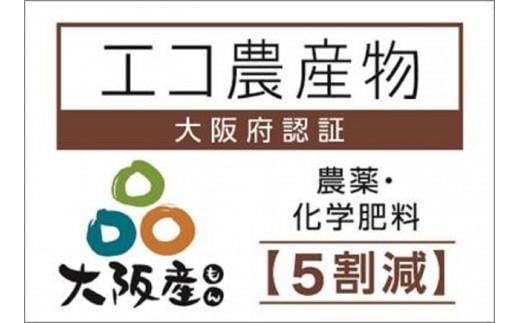 【貝塚市産】特選シャインマスカット２房入り 1.4kg以上　2025年8月より発送