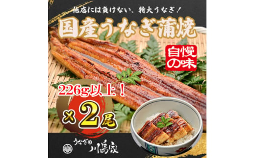 ＜冷凍2尾＞岬町自慢の味　うなぎの川島家　国産うなぎ蒲焼　特大サイズ(226g以上)特製タレ付き【1488344】