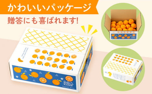 【先行予約】ハウス完熟早生みかん　お試し約2.5キロ箱＜1月上旬以降発送＞ 長崎県/野中果樹園 [42AAAP002] 長崎県産 みかん かんきつ 柑橘 フルーツ 果物 旬 ミカン オレンジ 贈答 ギフト 贈り物 お取り寄せ プレゼント