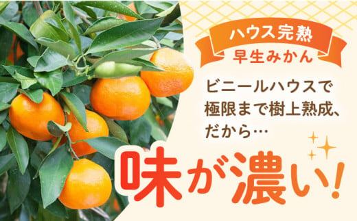 【先行予約】ハウス完熟早生みかん　お試し約2.5キロ箱＜1月上旬以降発送＞ 長崎県/野中果樹園 [42AAAP002] 長崎県産 みかん かんきつ 柑橘 フルーツ 果物 旬 ミカン オレンジ 贈答 ギフト 贈り物 お取り寄せ プレゼント