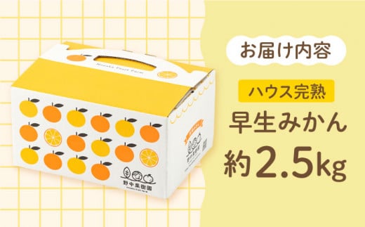 【先行予約】ハウス完熟早生みかん　お試し約2.5キロ箱＜1月上旬以降発送＞ 長崎県/野中果樹園 [42AAAP002] 長崎県産 みかん かんきつ 柑橘 フルーツ 果物 旬 ミカン オレンジ 贈答 ギフト 贈り物 お取り寄せ プレゼント