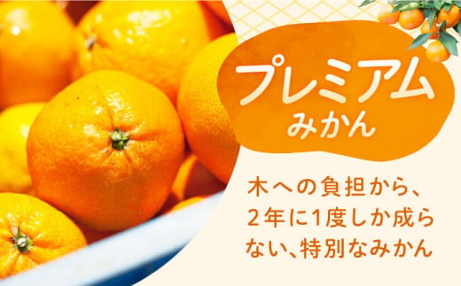 【先行予約】ハウス完熟早生みかん　お試し約2.5キロ箱＜1月上旬以降発送＞ 長崎県/野中果樹園 [42AAAP002] 長崎県産 みかん かんきつ 柑橘 フルーツ 果物 旬 ミカン オレンジ 贈答 ギフト 贈り物 お取り寄せ プレゼント