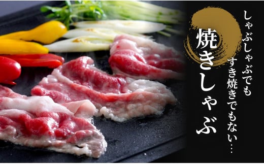 【年内発送！】佐賀牛 バラ焼きしゃぶ用 400g 肉 佐賀牛 牛肉 おすすめ ギフト 贈答 黒毛和牛 ランキング 1万円 10000円 年内お届け 年内配送 N10-65