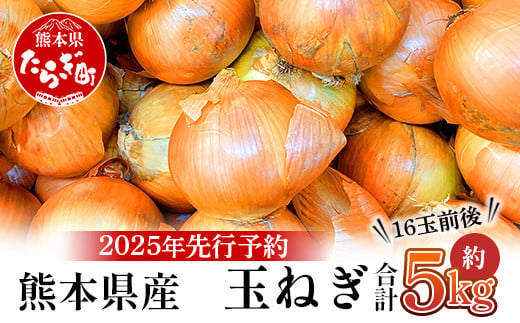 【先行予約】熊本県産 玉ねぎ 5kg (16玉前後) ≪2025年4月下旬から順次発送≫ 玉葱 野菜 数量限定 JAS たまねぎ オニオン 甘い サラダ ハンバーグ 肉じゃが カレー 065-0636