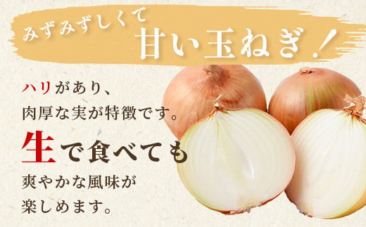 【先行予約】熊本県産 玉ねぎ 5kg (16玉前後) ≪2025年4月下旬から順次発送≫ 玉葱 野菜 数量限定 JAS たまねぎ オニオン 甘い サラダ ハンバーグ 肉じゃが カレー 065-0636