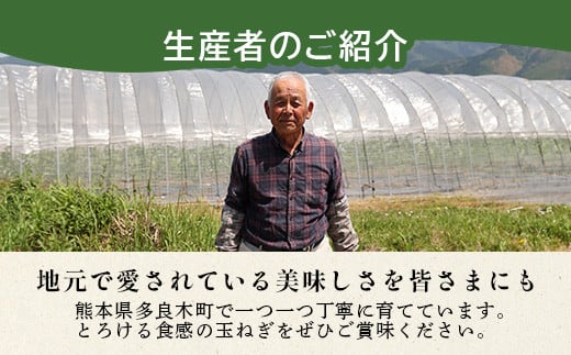 【先行予約】熊本県産 玉ねぎ 5kg (16玉前後) ≪2025年4月下旬から順次発送≫ 玉葱 野菜 数量限定 JAS たまねぎ オニオン 甘い サラダ ハンバーグ 肉じゃが カレー 065-0636