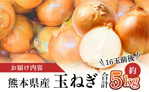 【先行予約】熊本県産 玉ねぎ 5kg (16玉前後) ≪2025年4月下旬から順次発送≫ 玉葱 野菜 数量限定 JAS たまねぎ オニオン 甘い サラダ ハンバーグ 肉じゃが カレー 065-0636