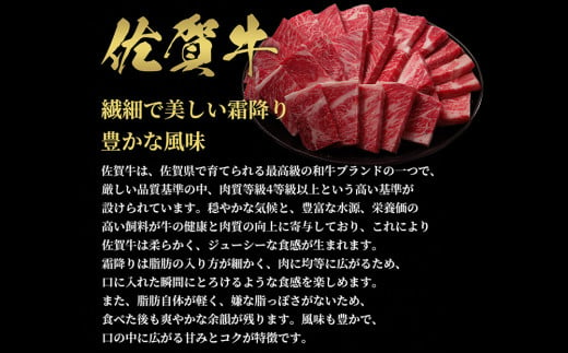 【先行受付 令和6年12月中旬より発送】【和牛セレブ】佐賀牛 焼肉ロース 200g【肉 ブランド牛 和牛 牛肉 ふるさと納税】(H113103)