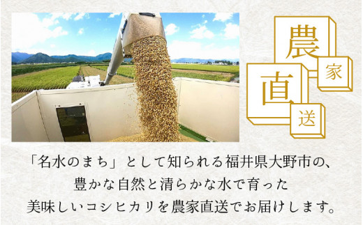 【先行予約】【令和6年産 新米】【6ヶ月定期便】福井県大野市産 コシヒカリ 白米 精米 10kg 農家直送