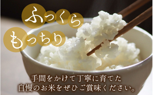 【先行予約】【令和6年産 新米】【6ヶ月定期便】福井県大野市産 コシヒカリ 白米 精米 10kg 農家直送