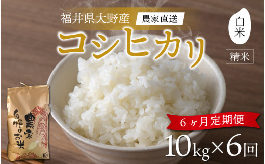 【先行予約】【令和6年産 新米】【6ヶ月定期便】福井県大野市産 コシヒカリ 白米 精米 10kg 農家直送