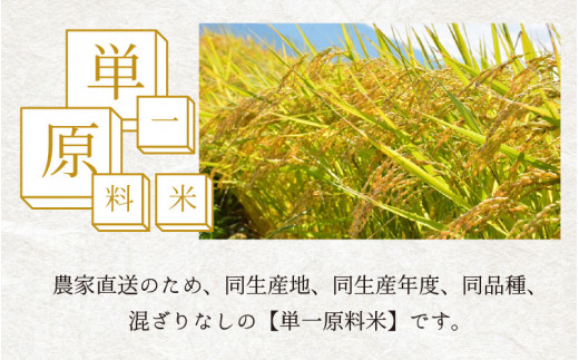 【先行予約】【令和6年産 新米】【6ヶ月定期便】福井県大野市産 コシヒカリ 白米 精米 10kg 農家直送