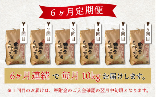 【先行予約】【令和6年産 新米】【6ヶ月定期便】福井県大野市産 コシヒカリ 白米 精米 10kg 農家直送