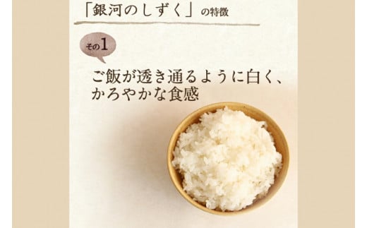 【令和6年産】銀河のしずく 精米 5kg 特別栽培米 生産者直送 特A受賞 | お米 コメ 精米 白米 (CA020)