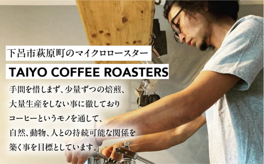 スペシャルティコーヒー豆  エチオピアウォッシュド 200g×2　計400g【TAIYO COFFEE ROASTERS】エチオピア 珈琲 コーヒー コーヒー豆 スペシャルティ スペシャリティ 下呂市