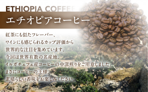 スペシャルティコーヒー豆  エチオピアウォッシュド 200g×2　計400g【TAIYO COFFEE ROASTERS】エチオピア 珈琲 コーヒー コーヒー豆 スペシャルティ スペシャリティ 下呂市