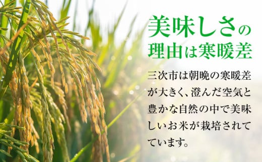 白米 贈答 ギフト 特産品 産地直送 取り寄せ お取り寄せ 送料無料 広島 三次 15000円