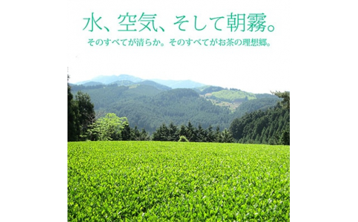 ＜毎月定期便＞奥八女星野村 深蒸し高級煎茶(深蒸し茶)100g×2袋 全6回【4008834】