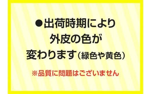 レモン　約5kg【2024年11月下旬～2025年4月上旬配送】