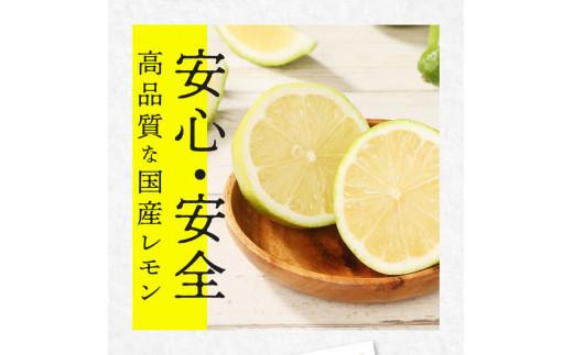 レモン　約5kg【2024年11月下旬～2025年4月上旬配送】