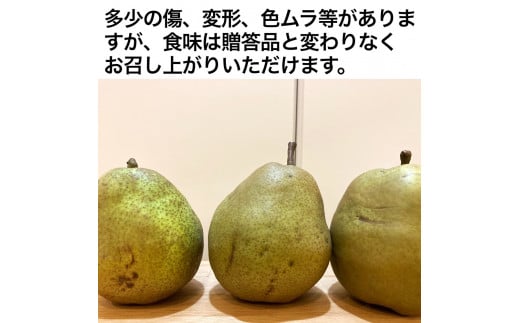 西洋梨（ラ・フランス）２.８ｋｇ　Ｍ・Ｌサイズ　ご家庭用（小）　0052-2405