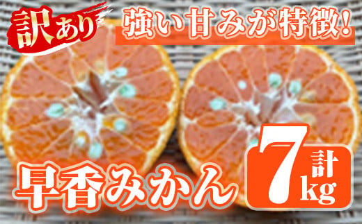 ＜先行予約受付中!2024年12月中旬以降発送予定＞訳あり早香みかん(計7kg) 国産 フルーツ 果物 蜜柑 柑橘 みかん 訳あり【松永青果】a-12-303-z