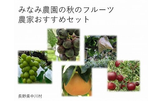 ミナミ野菜、果物セット 【公式通販】