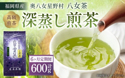 【6ヶ月定期便】【八女茶】奥八女星野村 深蒸し高級煎茶(深蒸し茶)100g×1袋