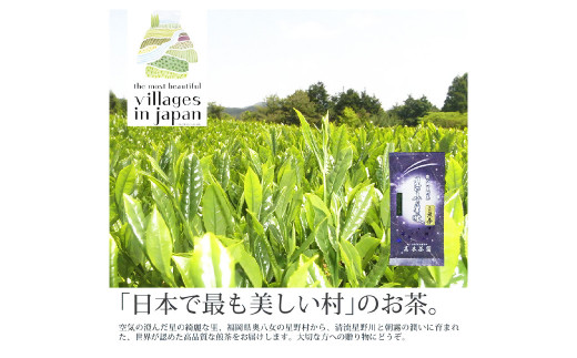 【6ヶ月定期便】【八女茶】奥八女星野村 深蒸し高級煎茶(深蒸し茶)100g×1袋