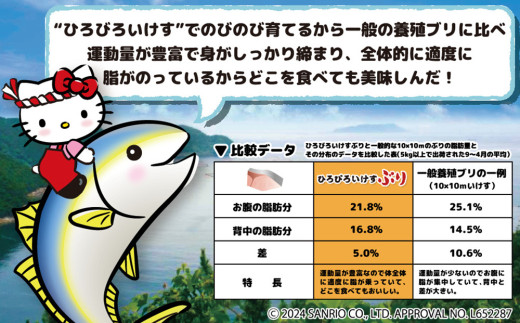 【先行予約】ひろびろいけすぶり(フィレ・片身)1枚 ぶり 鰤 刺し身 刺身 鰤 大分県産 九州産 津久見市 国産