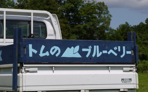 茨城県つくば市産 冷凍ブルーベリー　1kg【ブルーベリー 国産 ベリー スイーツ トッピング 栄養 ジャム 果実 果物 パンケーキ】