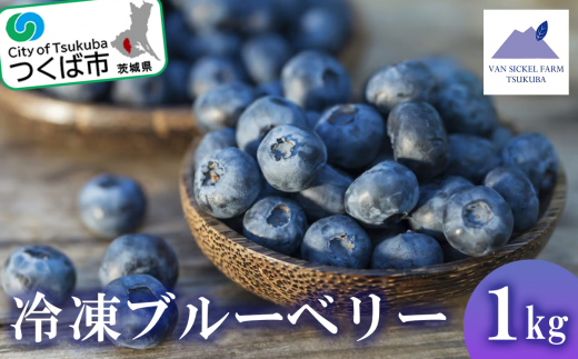 茨城県つくば市産 冷凍ブルーベリー　1kg【ブルーベリー 国産 ベリー スイーツ トッピング 栄養 ジャム 果実 果物 パンケーキ】